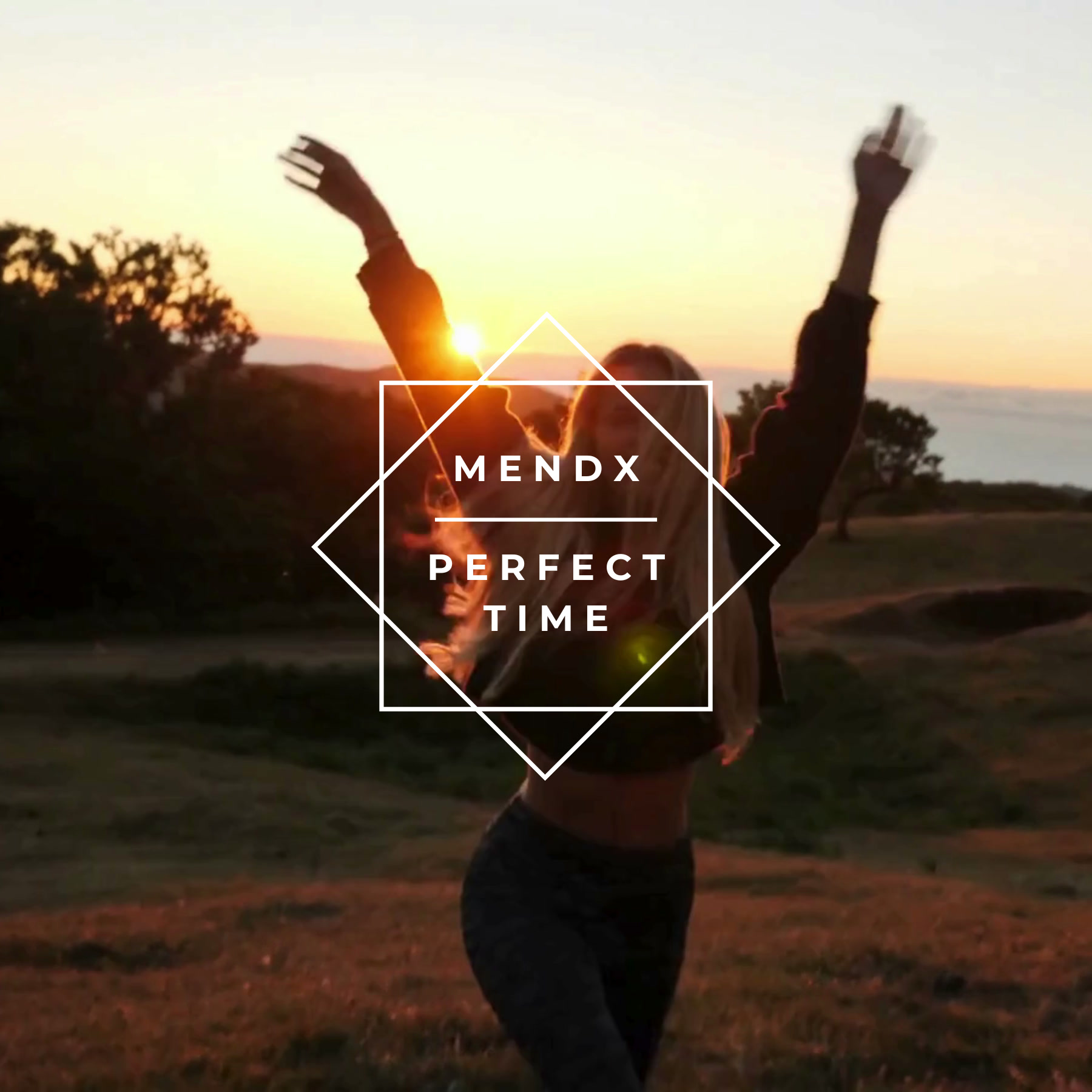 Cover of Perfect Time